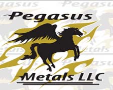 Pegasus Metals