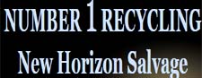 New Horizon Salvage