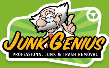 Junk Genius