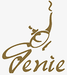 Genie Technologies